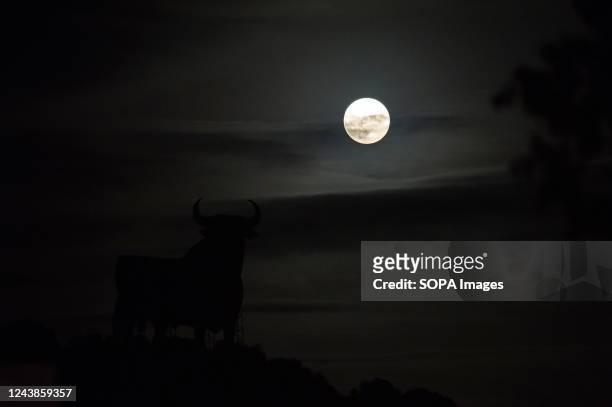 The full moon or 'Hunter's moon' is seen rising over a billboard-size figure of a bull, known as the "Osborne Bull" in Fuengirola, near Malaga....