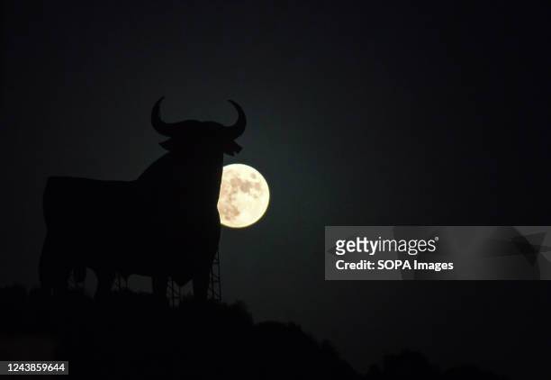 The full moon or 'Hunter's moon' is seen rising over a billboard-size figure of a bull, known as the "Osborne Bull" in Fuengirola, near Malaga....