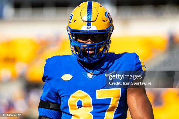 Pittsburgh Panthers defensive lineman Habakkuk Baldonado looks on during the college football game between the Virginia Tech Hokies and the...