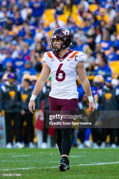 Virginia Tech Hokies quarterback Grant Wells looks on during the college football game between the Virginia Tech Hokies and the Pittsburgh Panthers...