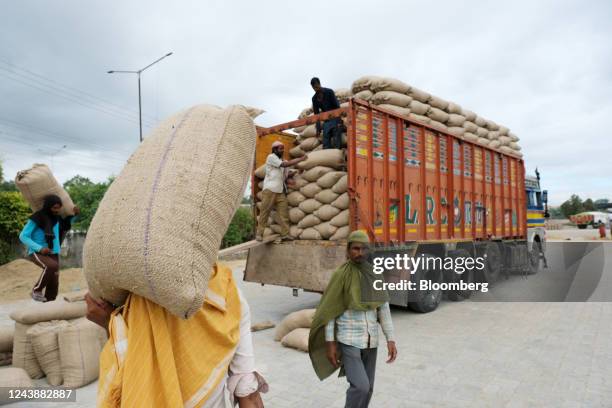 Workers load bags of paddy rice on a truck at the grain market in Ambala, India, on Sunday, Oct. 9, 2022. Rice is a staple food for about half of the...