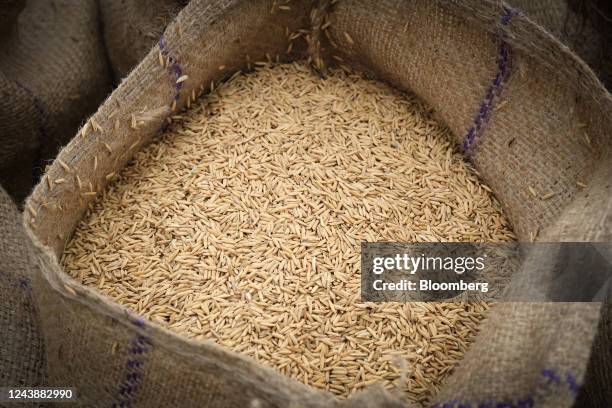 Half Ridge Sack Jute Clothing Photos and Premium High Res Pictures - Getty Images