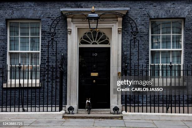 Larry the cat sit outside the entrance door of 10 Downing Street, in London, on October 11, 2022.