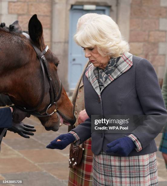 Camilla, Queen Consort feeds carrots to horses as she attends a reception to thank the community of Aberdeenshire for their organisation and support...