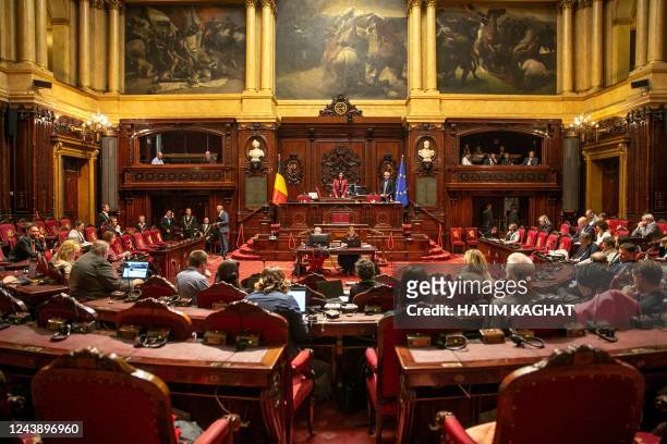 President of the Belgian Senate Stephanie D'Hose stands during a plenary session of the Senate at the federal parliament, in Brussels, on October 11,...