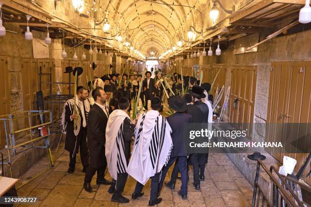 Ultra-Orthodox Jewish men, wearing traditional Jewish prayer shawls known as Tallit and holding the four plant species of closed date palm tree...