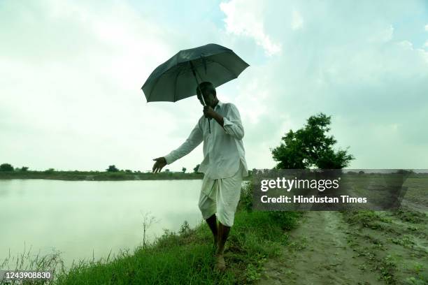 Farmer at his paddy field where 50% of the cultivation was ruined due to unseasonal rains on October 11, 2022 in Noida, India. Farmers are struggling...