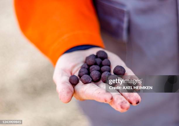 Uwe Braun, managing director of the ArcelorMittal steel-producing factory holds iron oxide for further proccesing on the palm of his hands in the...