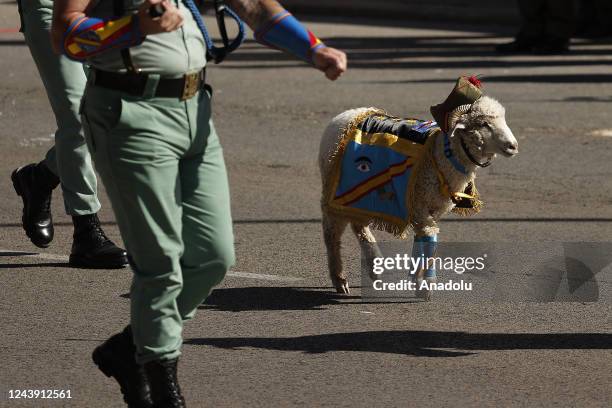 Spanish lamb is seen during a military parade on the national holiday known as "Hispanidad" or Hispanic Day in Madrid, Spain on October 12, 2022.