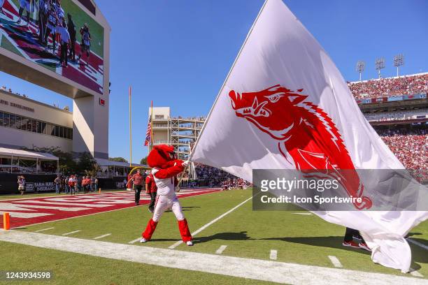 Arkansas mascot Big Red waves a flag before the game between the Mississippi State Bulldogs and the Arkansas Razorbacks on October 8, 2022 at Davis...
