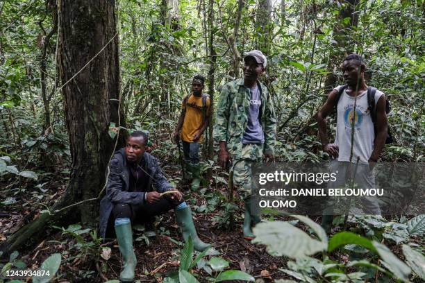 Trackers and eco-guards take a break in the middle of the Campo Ma'an national Park's forest, in cameroon, on October 13, 2022. - In Campo, near the...