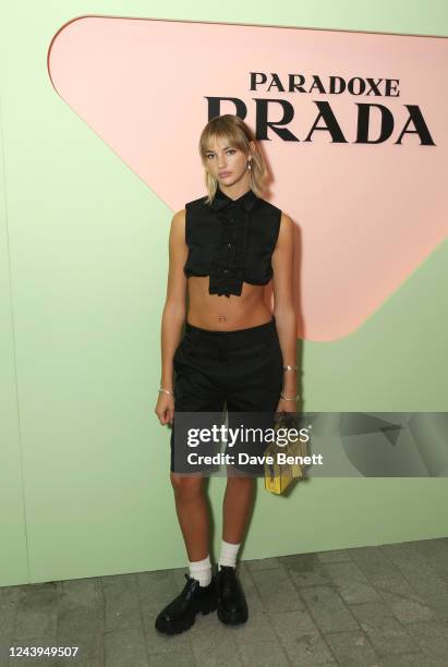 9,779点のPrada Partyのストックフォト - Getty Images