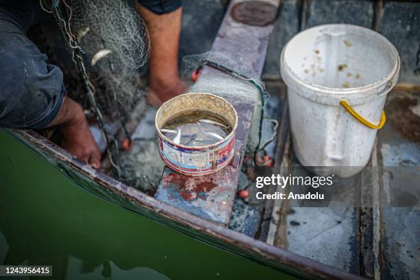 Photo of fish in a bucket caught from the Orontes River in Idlib, Syria on October 13, 2022. The people live in Darkush town of Idlib, Syria, make...