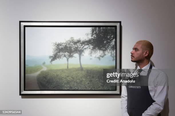 An art handler looks at a painting titled 'Apfelbaume' by Gerhard Richter during a photo call to present the highlights from the estate of the...