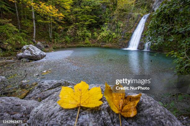 Autumn scenery of waterfall and ponds with crystal clear water as seen in the forest of Mount Olympus, between Dionysiou Monastery and Prionia at an...