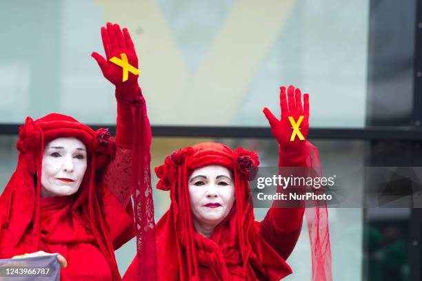 Two activists from the extinction Rebellion are seen during the green party delegate conference at United Nation plaza in Bonn, Germany on Oct 14,...