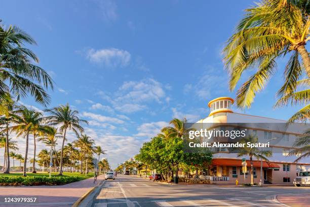 ocean drive and lummus park early in the morning, south beach, miami, usa - exotic travel destinations usa stock pictures, royalty-free photos & images