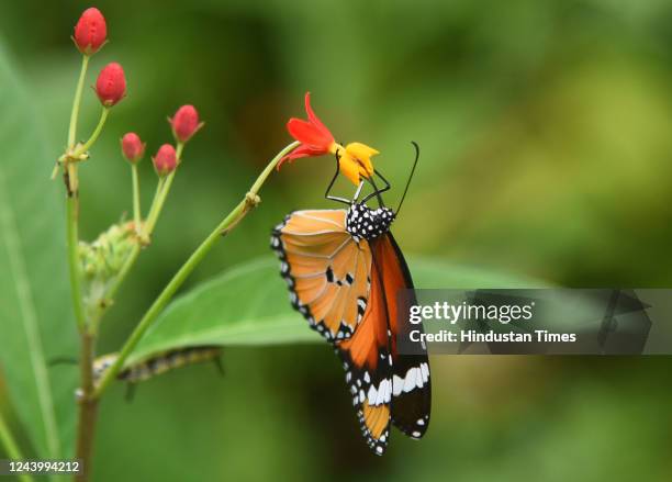 Kalina Biodiversity Park inaugurated featuring Miyawaki forest, sensory park, urban bird habitat, butterfly garden, pond rejuvenation, installation...