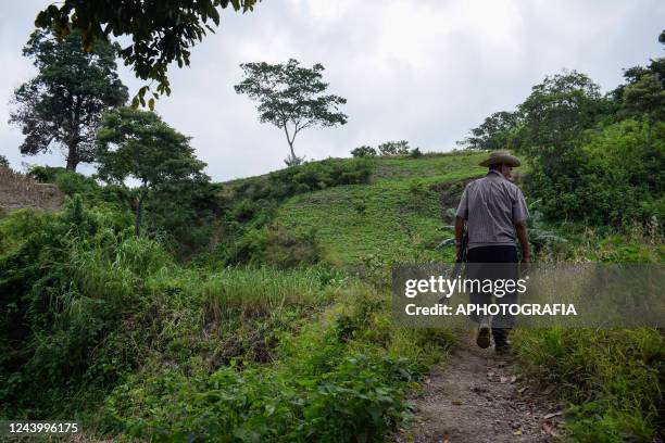 Farmer checks his crop field affected by rains in the aftermath of tropical storm Julia on October 15, 2022 in Usulutan, El Salvador. The east region...