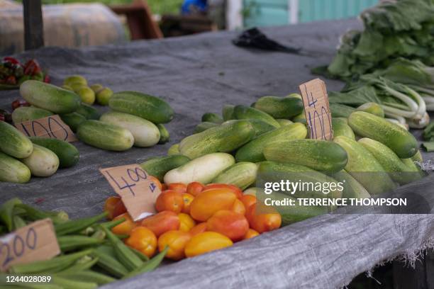 View of Iris Singh's street stall, which sells chicken and vegetables, at the Annandale neighborhood in Georgetown, on September 20, 2022. - Emerging...