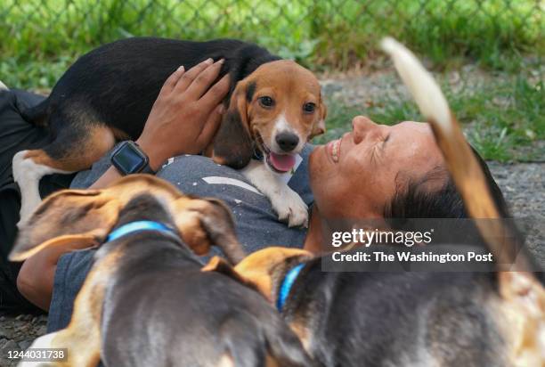 43 Fairfax County Animal Shelter Photos and Premium High Res Pictures - Getty Images 43 Fairfax County Animal Shelter Photos and Premium High Res Pictures - Getty Images