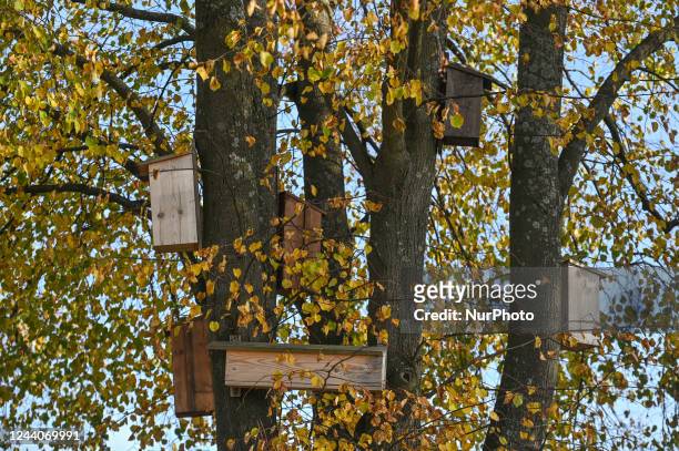 Wooden birdhouses seen at Sensory Gardens in Muszyna in the fall. On Monday, October 17 in Muszyna, Nowy Sacz County, Lesser Poland Voivodeship,...