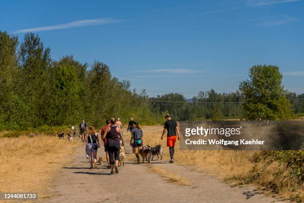 People walking with their dogs on and off-leash trail at the Sandy River Delta Park, along the Lewis & Clark National Historic Trail, near Portland,...