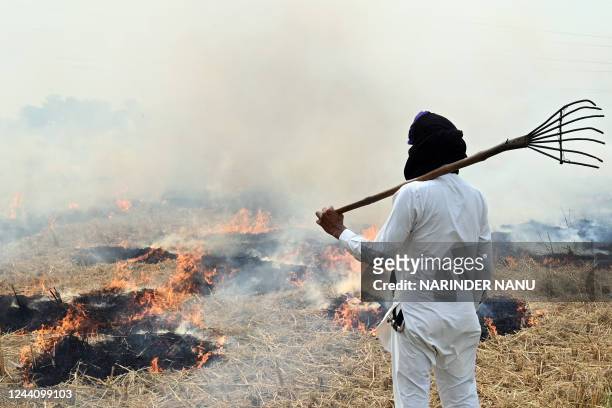 Farmer watches after burning straw stubble in a paddy field on the outskirts of Amritsar on October 20, 2022.