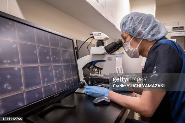 This picture taken on September 28, 2022 shows a member of staff monitoring the movement of donor sperm at Keio University Hospital in Tokyo. - For...
