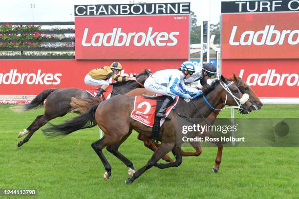 Sheer Class ridden by Jamie Mott wins the Book Fillies & Colts on Cup Day 4YO+ Maiden Plate at Cranbourne Racecourse on October 21, 2022 in...