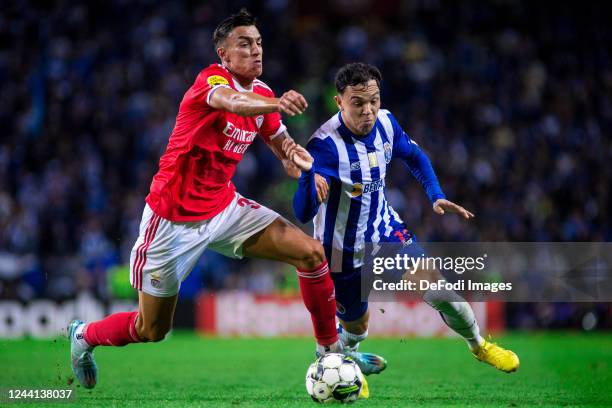 Eduardo Aquino 'Pepe' of FC Porto and Petar Musa of SL Benfica battle for the ball during the Liga Portugal Bwin match between FC Porto and SL...