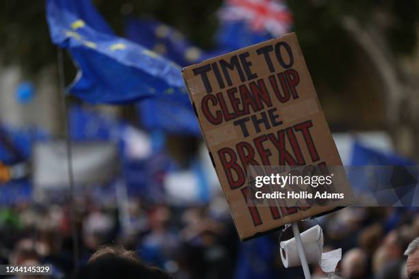 Demonstrators attend the National Rejoin March in Parliament Square on October 22, 2022 in London, United Kingdom. Protesters implore the government...