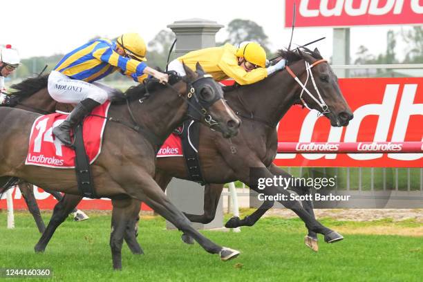 Nickelback Photos and Premium High Res Pictures - Getty Images