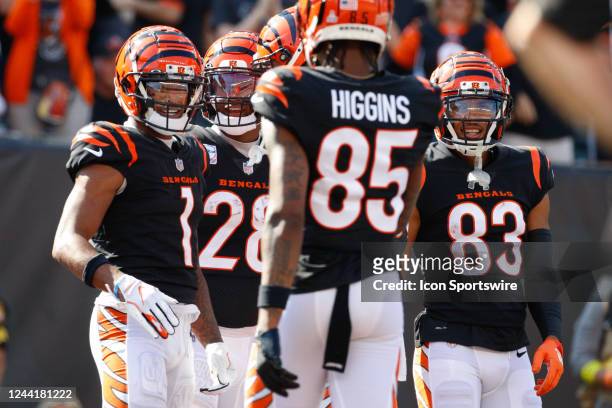 Cincinnati Bengals wide receiver Ja'Marr Chase reacts with running back Joe Mixon wide receiver Tee Higgins and wide receiver Tyler Boyd after Chase...
