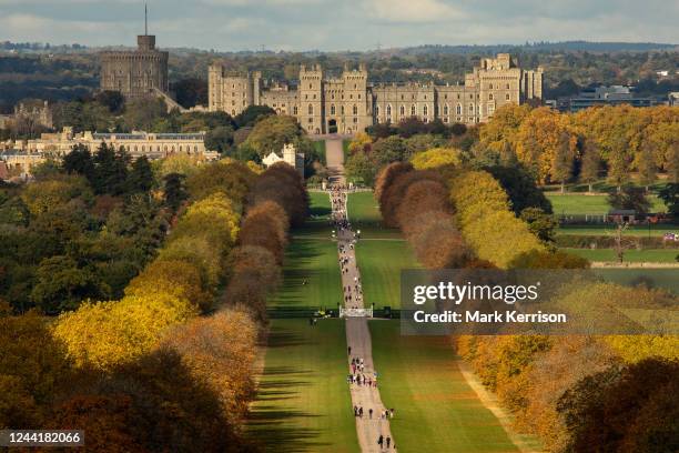Horse chestnut and London plane trees lining the Long Walk in front of Windsor Castle display autumn colours on 23 October 2022 in Windsor, United...