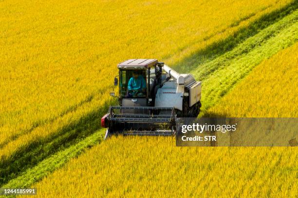This aerial photo taken on October 23, 2022 shows a farmer harvesting rice during harvest season in Taizhou in China's eastern Jiangsu province. -...