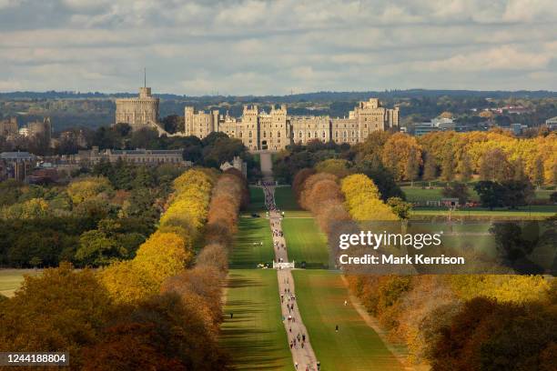 Horse chestnut and London plane trees lining the Long Walk in front of Windsor Castle display autumn colours on 23 October 2022 in Windsor, United...