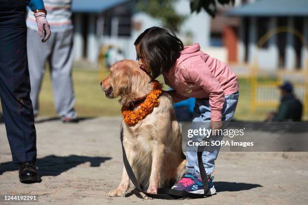 Girl embraces a police dog after applying vermilion and flower garlands during a dog worship day that is celebrated as part of the Tihar festival....