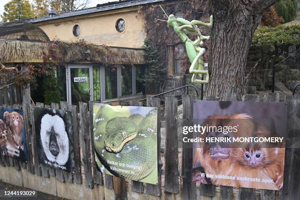The Skansen-Akvariet zoo is pictured in Stockholm on October 24, 2020. - A Swedish zoo has been partially shut down after a king cobra staged an...