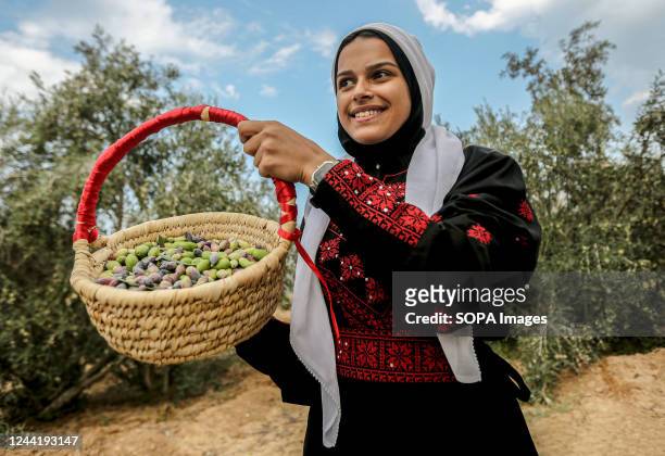 Palestinian girl wearing traditional Palestinian dress carries an olive basket during her participation in the olive harvest season on a farm in Deir...