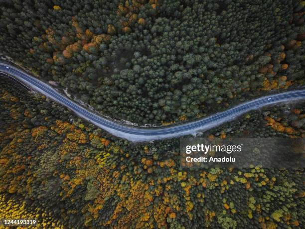 An aerial view of the Domanic Mountains with a road amid trees with yellow, brown and green colored leaves during autumn season in Kutahya, Turkiye...