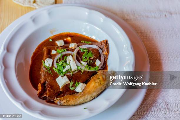 Mole rojo with chicken being served at Casa Cuubi in San Antonino Castillo Velasco near Oaxaca, Mexico.