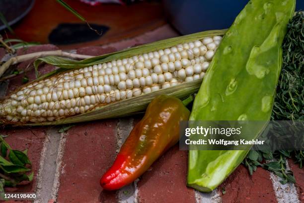 Corn, chili pepper and opuntia cacti decorations at the open kitchen in the courtyard garden of Casa Cuubi in San Antonino Castillo Velasco near...