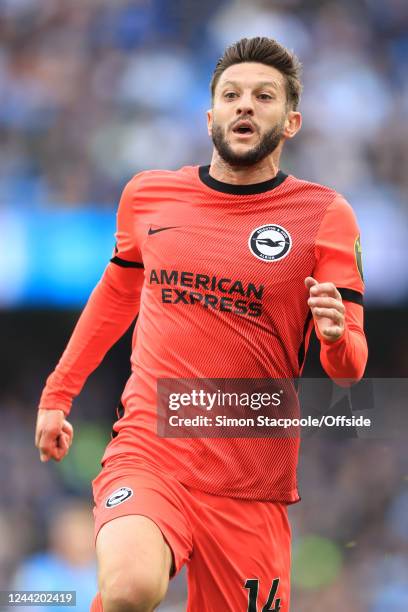 Adam Lallana of Brighton & Hove Albion in action during the Premier League match between Manchester City and Brighton & Hove Albion at Etihad Stadium...