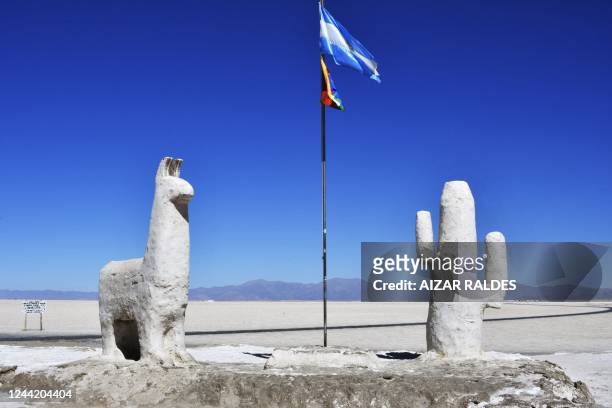 Picture taken at the Salinas Grandes salt flat, shared by the Argentine northern provinces of Salta and Jujuy, taken near the Kolla indigenous...