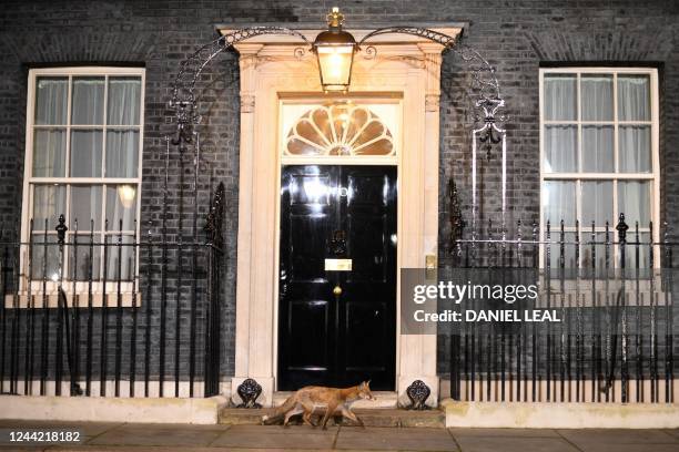 Fox walks past the entrance of the 10 Downing Street in central London, on October 25, 2022.