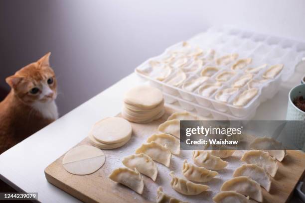 the cat looking at the dumplings - prettyface stock pictures, royalty-free photos & images