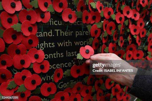 Person holds a poppy as they look at a wall made of 10,000 remembrance poppies, displayed in Hay's Galleria following the launch of the Royal British...