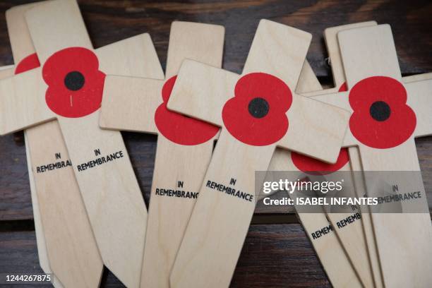 Crosses of Remembrance adorned with a single poppy are pictured following the launch of the Royal British Legion's Poppy Appeal in central London on...