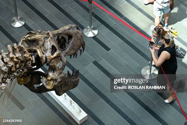 Rex China China Dinosaurs Photos and Premium High Res Pictures - Getty Images
